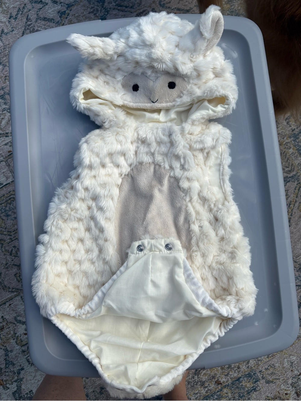 Pottery Barn Kids Cream Plush Lamb costume